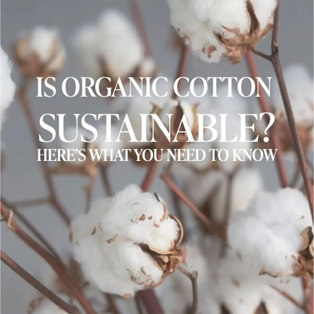 Organic cotton bedding is not as sustainable as you think and there are better alternatives