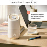 Portable Humidifier Canopy